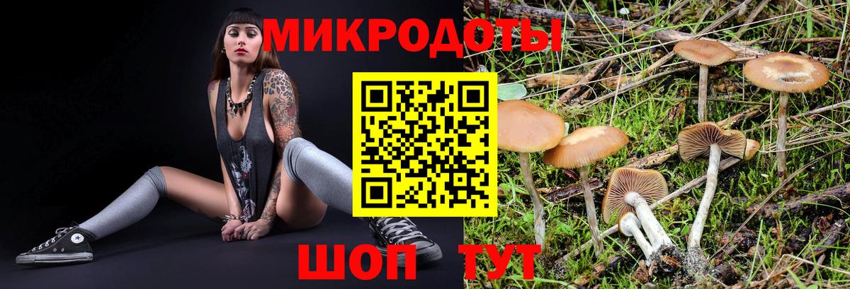 Пушкино  Псилоцибиновые грибы Magic Shrooms  Вход с VPN  Псилоцибиновые грибы мицелий 