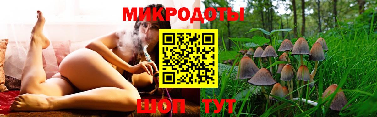 Псилоцибиновые грибы Psilocybine cubensis Пушкино